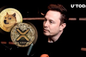 爱游戏体育-马斯克再次发推，XRP瞬间上上扬202%！的简单介绍