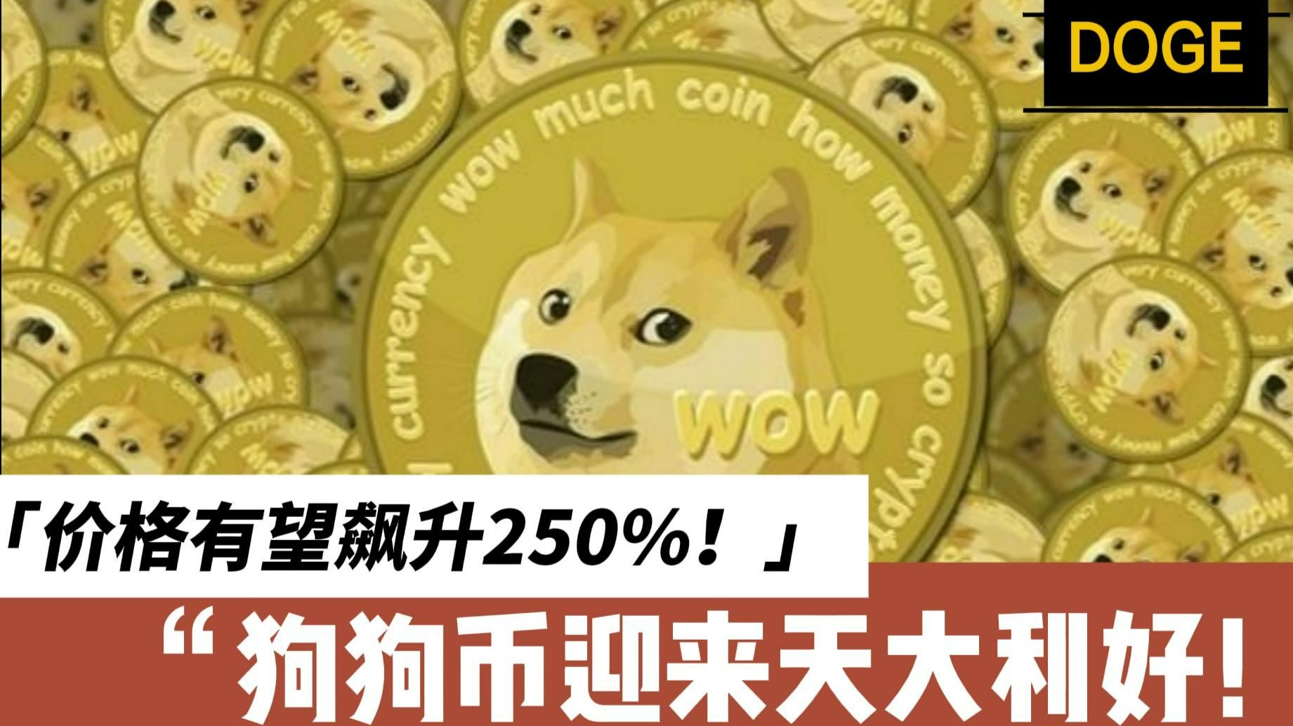 专家称狗狗币将在年底冲破468美元，引发引发关注的简单介绍